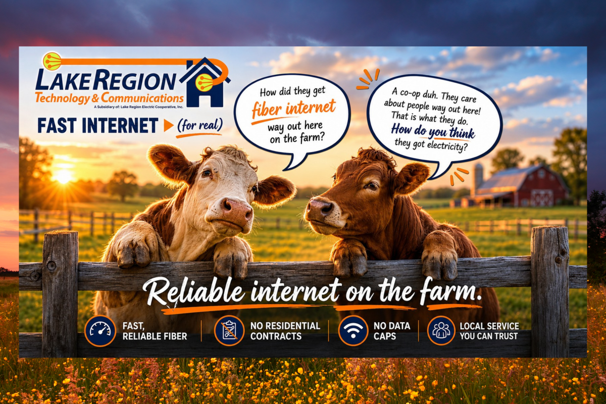Reliable Internet for Rural Life