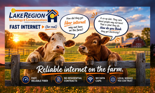Reliable Internet for Rural Life
